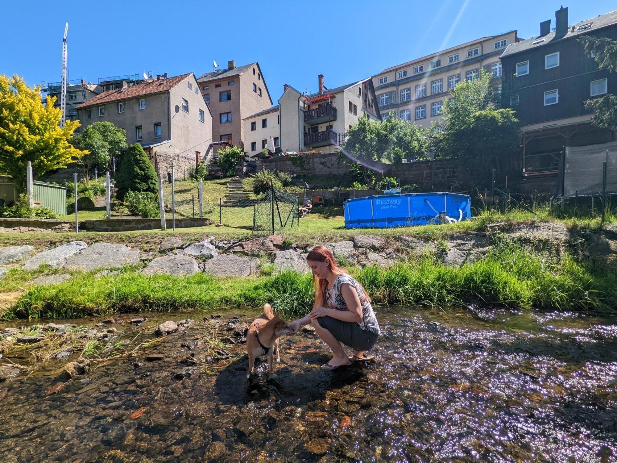 F2 - Urlaubsmagie Sauna, Whirlpool, Pool & Garten Sebnitz Zewnętrze zdjęcie