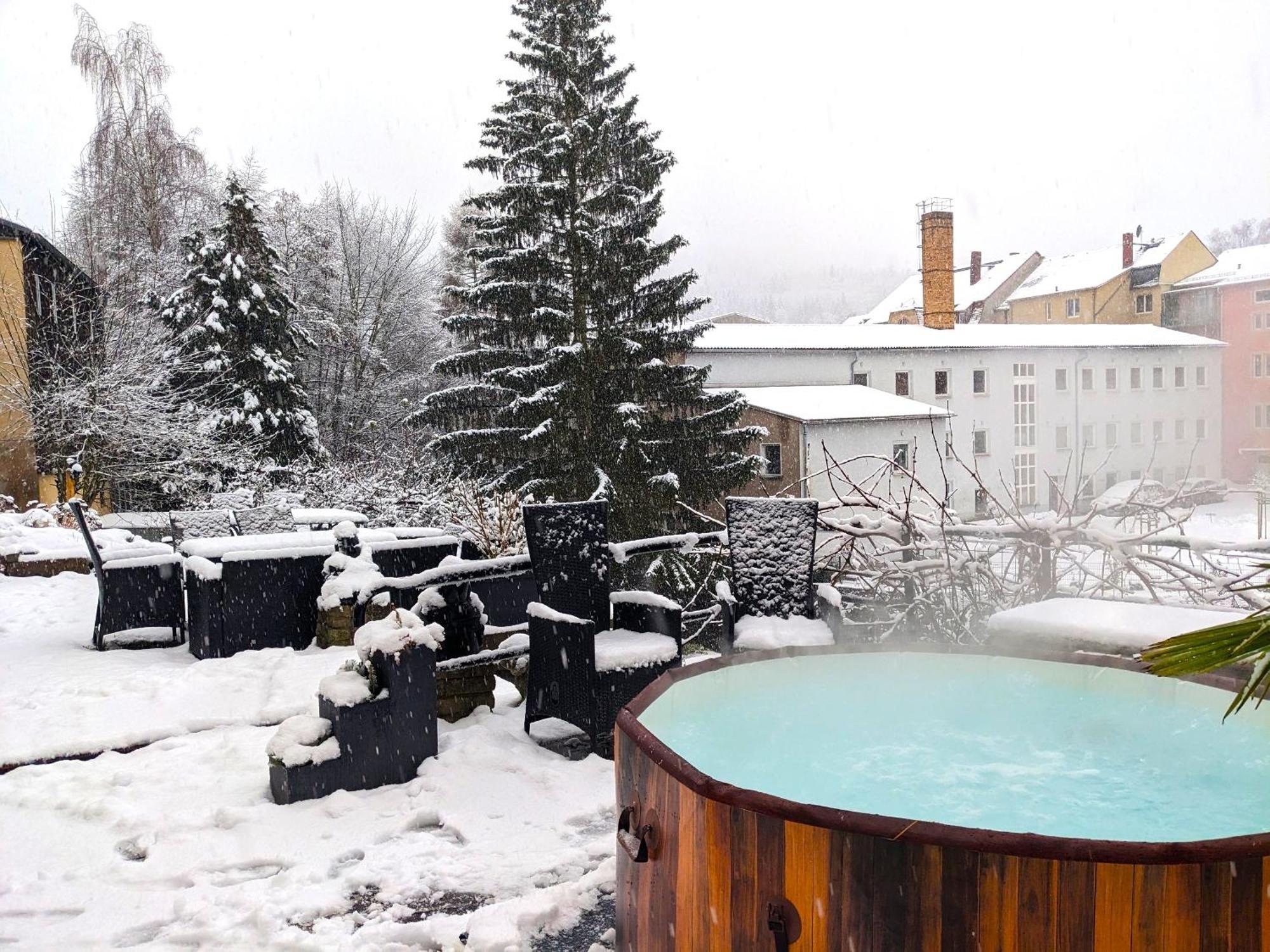 F2 - Urlaubsmagie Sauna, Whirlpool, Pool & Garten Sebnitz Zewnętrze zdjęcie