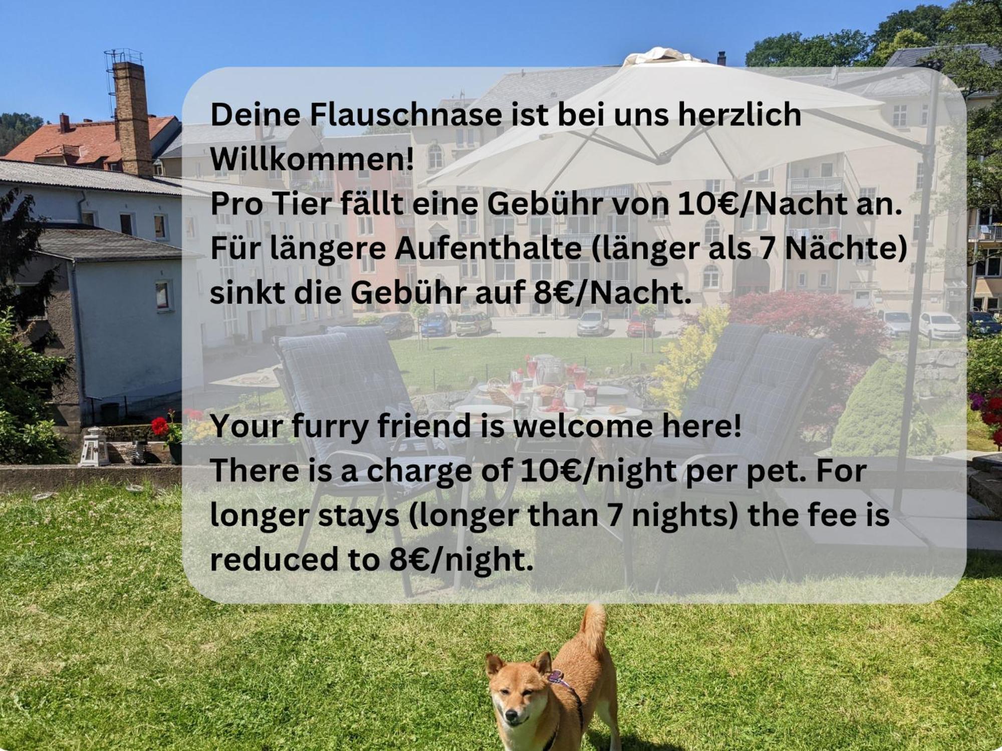 F2 - Urlaubsmagie Sauna, Whirlpool, Pool & Garten Sebnitz Zewnętrze zdjęcie